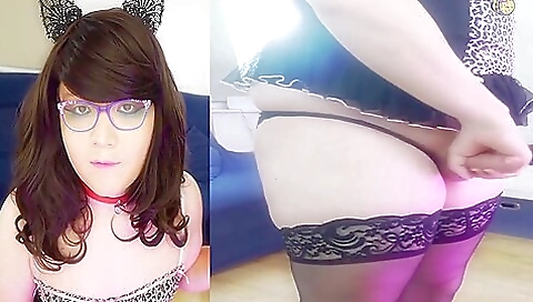 Free Amateur Porn Videos - transsexporn.com