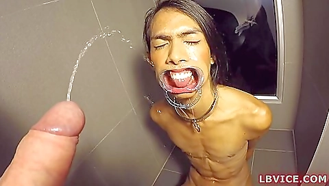 Horny brunette ladyboy gives a blowjob and pokes her ass